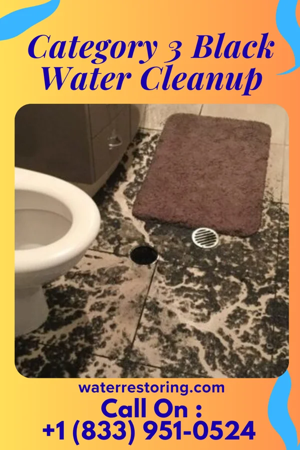 Category 3 Black Water Cleanup in Blackville, SC