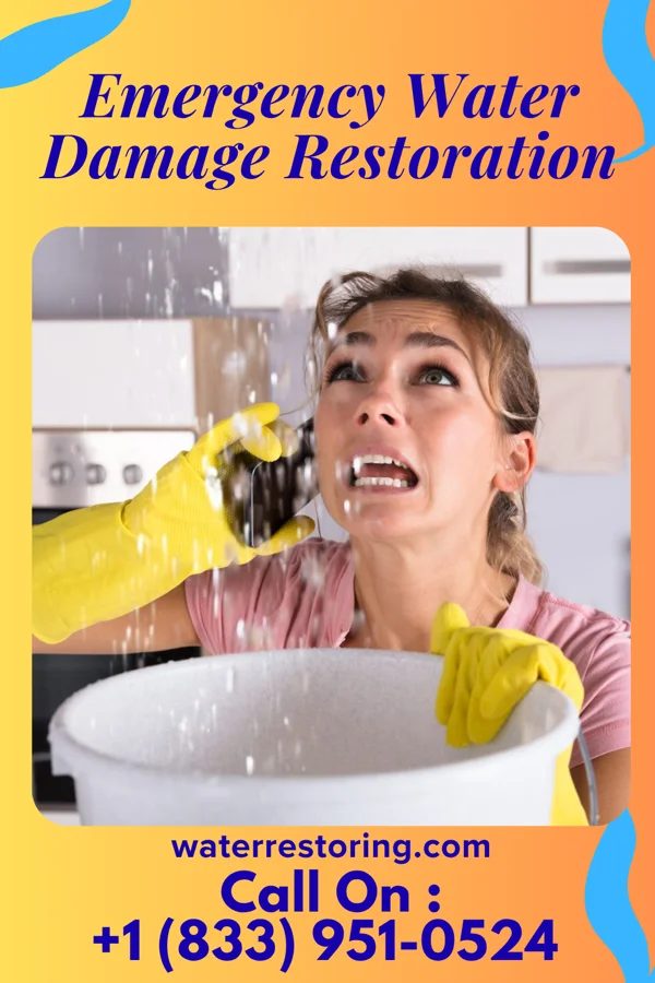 Emergency Water Damage Restoration in Blackville, SC