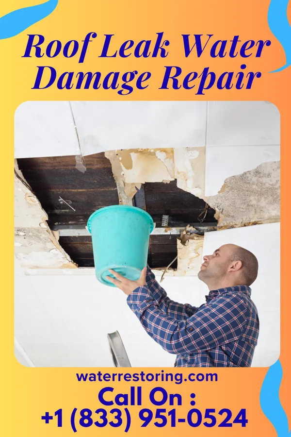 Roof Leak Water Damage Repair in Blackville, SC